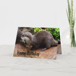 Otterligt förtjusande liten grå utter, grattis på kort