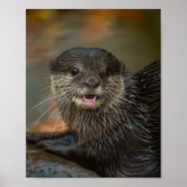 Otterly överraskning poster