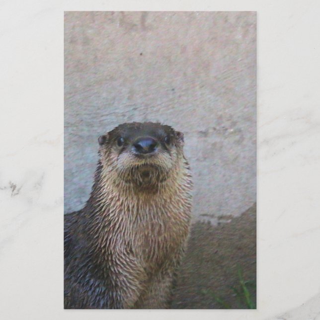 Otterly söt brevpapper (Framsida)