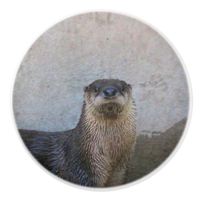 Otterly söt knopp (Framsidan)