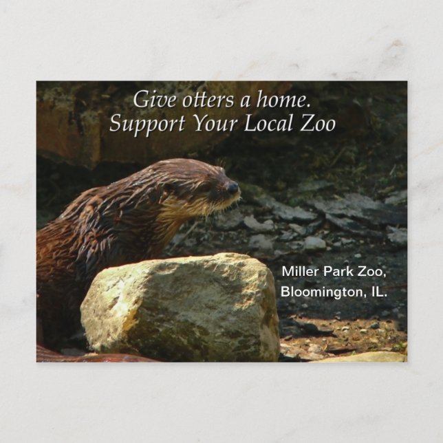 Otterly Vykort (Framsida)