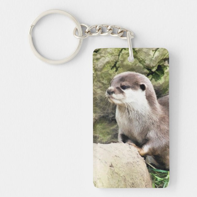 OTTERS (Framsidan)