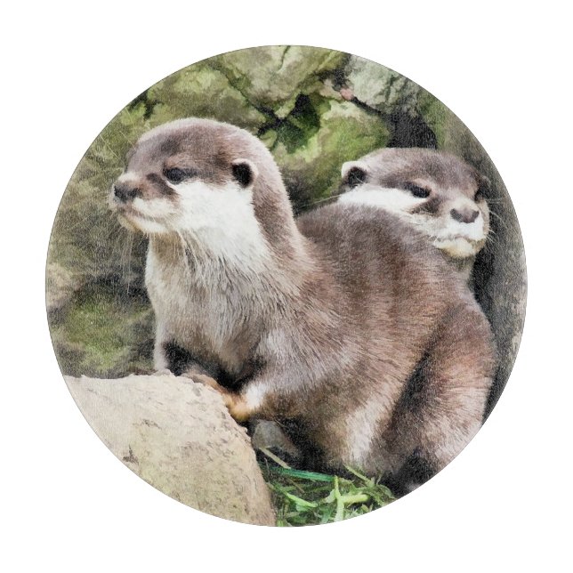 OTTERS (Framsidan)