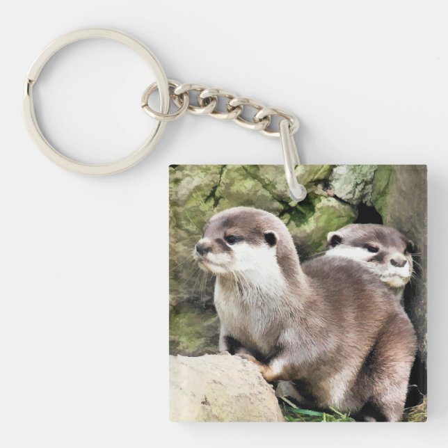 OTTERS (Framsidan)
