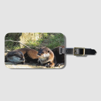 OTTERS BAGAGEBRICKA