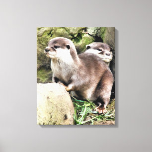 OTTERS CANVASTRYCK