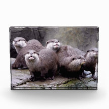 Otters familj