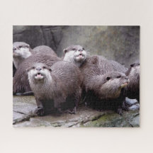Otters familj