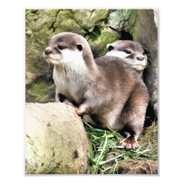 OTTERS FOTOTRYCK (Framsidan)