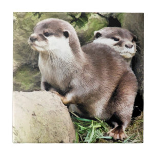 OTTERS KAKELPLATTA