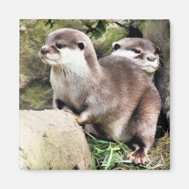 OTTERS MAGNET (Framsidan)