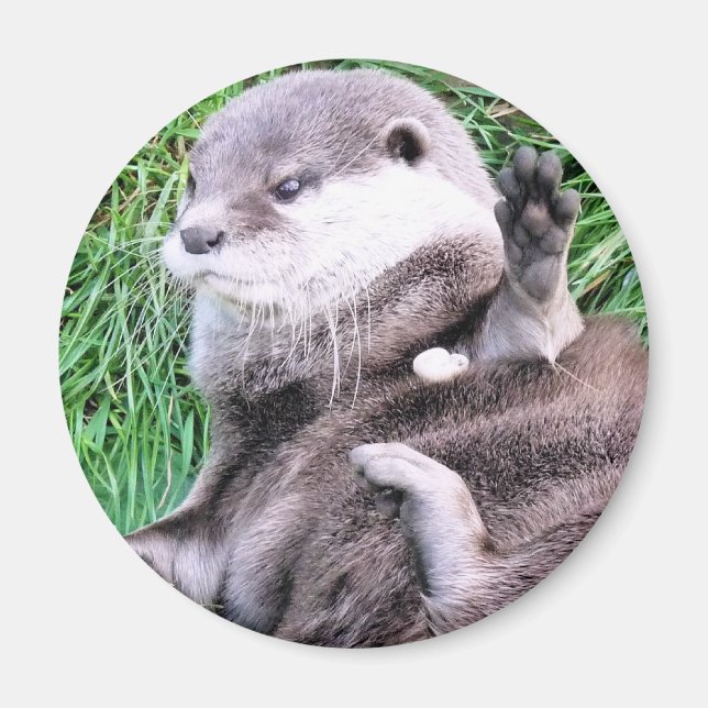 OTTERS MAGNET (Framsidan)