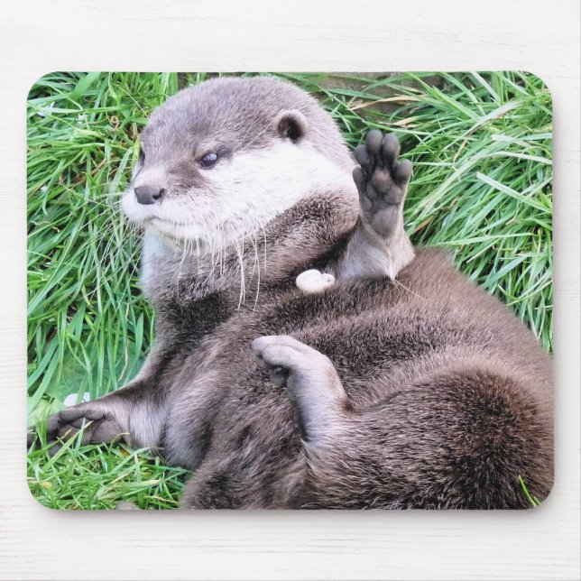 OTTERS MUSMATTA (Framsidan)