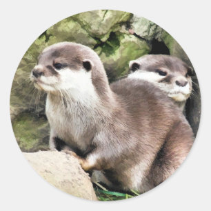 OTTERS RUNT KLISTERMÄRKE