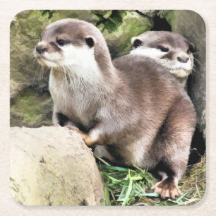OTTERS UNDERLÄGG PAPPER KVADRAT