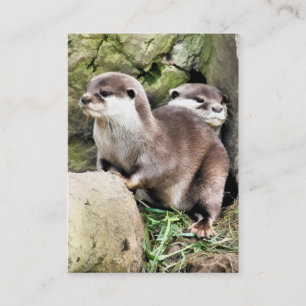 OTTERS VISITKORT