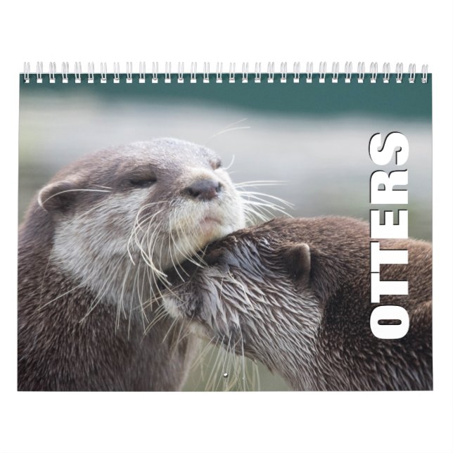 Otters Wall Calendar Kalender (Omslag)