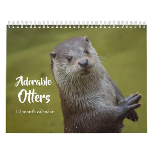 Ottrar i havet 2026 kalender