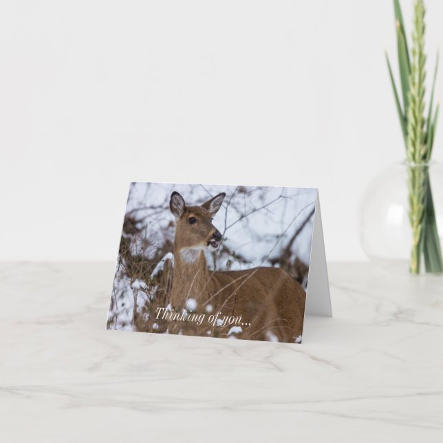 Otuggad fundering på ditt kort (Framsida)