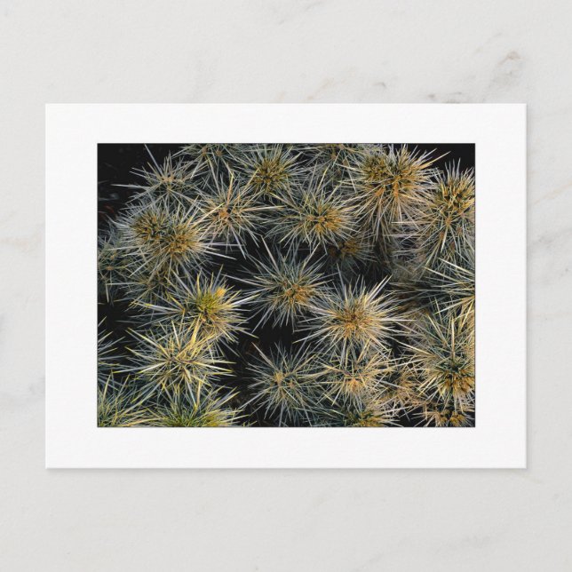 "Ouch-kluster" Vykort (Framsida)