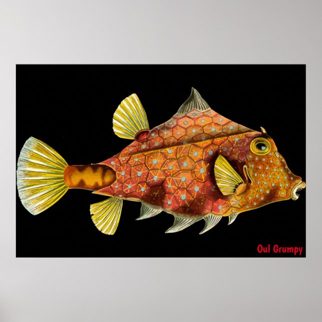 Oul Grumpy Affisch (Framsidan)