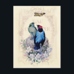 Our First Home Vykort<br><div class="desc">A darling vintage image of two nesting birds laid over a vintage French advert for perfume. © Wickedly Lovely</div>