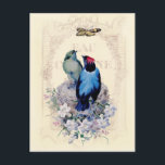 Our First Home Vykort<br><div class="desc">A darling vintage image of two nesting birds laid over a vintage French advert for perfume. © Wickedly Lovely</div>