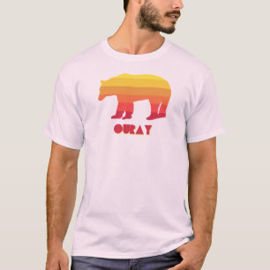 Ouray Colorado Rainbow Bear T Shirt