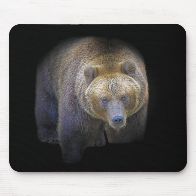 Ours Brun Grizzly Animal Vie Sauvage Forêt Jungle Musmatta (Framsidan)