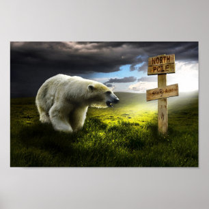 Ours polaire poster