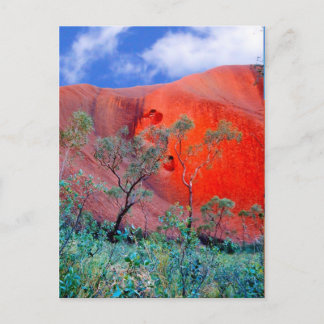 Outback Australia Vykort