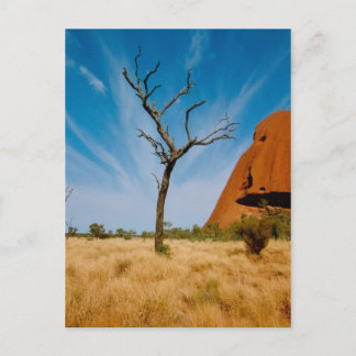 Outback Australia Vykort