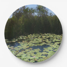 Outback Lily Dynors