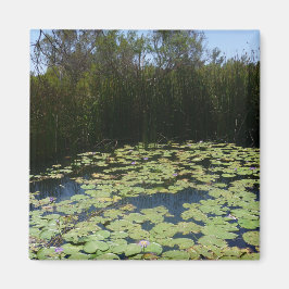 Outback Lily Dynors Magnet