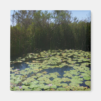 Outback Lily Dynors Magnet