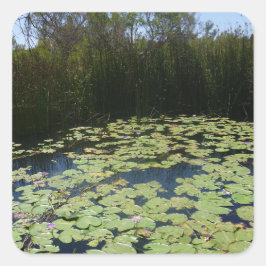 Outback Lily Dynors Sticker Fyrkantigt Klistermärke