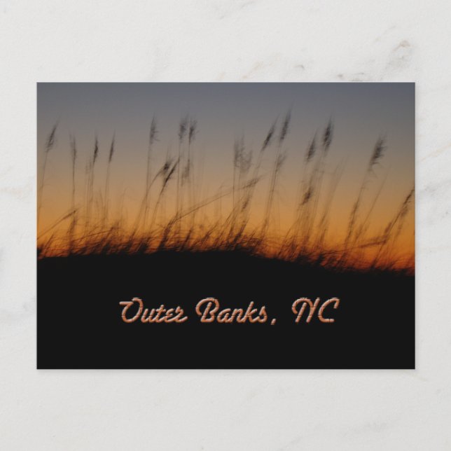 Outer Banker NC Sea Oats and Dunes vid Sunset Vykort (Framsida)