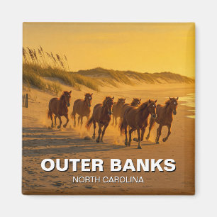 Outer Banker North Carolina Horses Travel Magnet