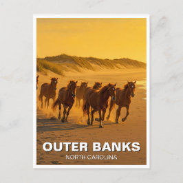 Outer Banker North Carolina Horses Travel Vykort