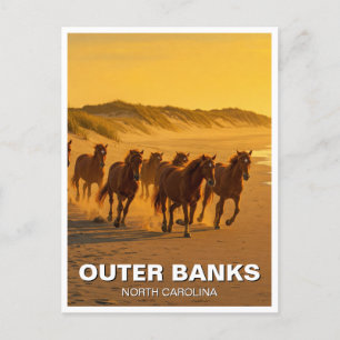 Outer Banker North Carolina Horses Travel Vykort