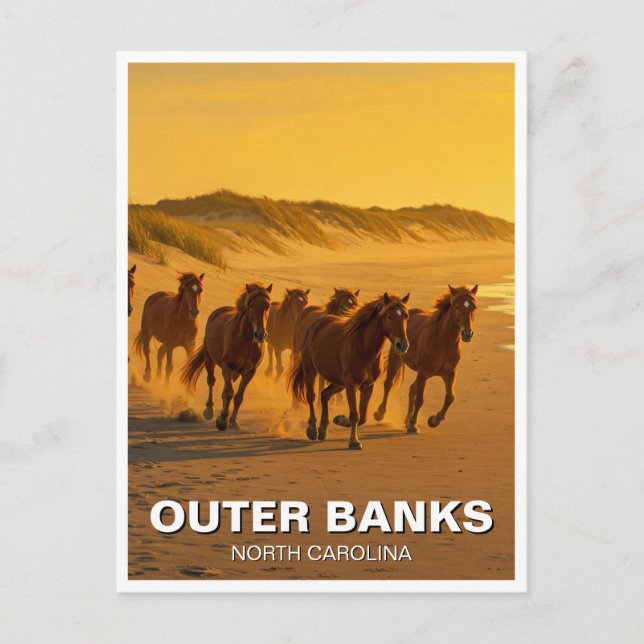 Outer Banker North Carolina Horses Travel Vykort (Framsida)