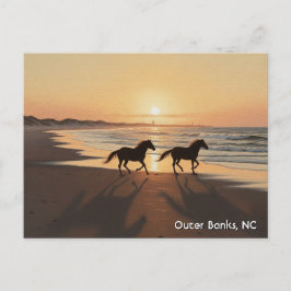 Outer Banker North Carolina Travel Vykort