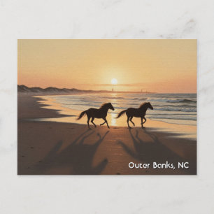 Outer Banker North Carolina Travel Vykort