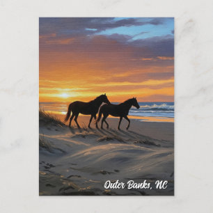 Outer Banker North Carolina Travel Vykort