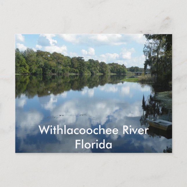 Outlacoochee River Vykort (Framsida)