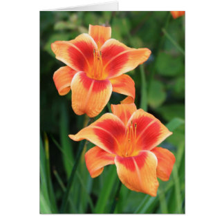Outrageous Daylily ' Hälsningskort
