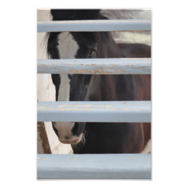 Outtalat band fototryck