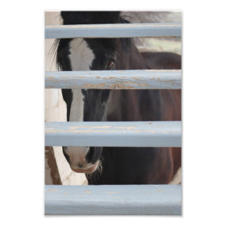 Outtalat band fototryck