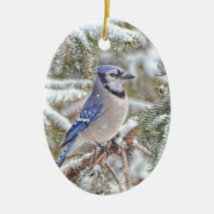 Oval prydnad som presenterar en blått Jay i snö Julgransprydnad Keramik