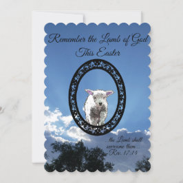 Oval ram lamb solbelysta moln platt vykort